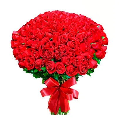 Buquê de 200 Rosas Vermelhas